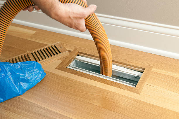 Air Duct Mold Removal in Fayette, MS